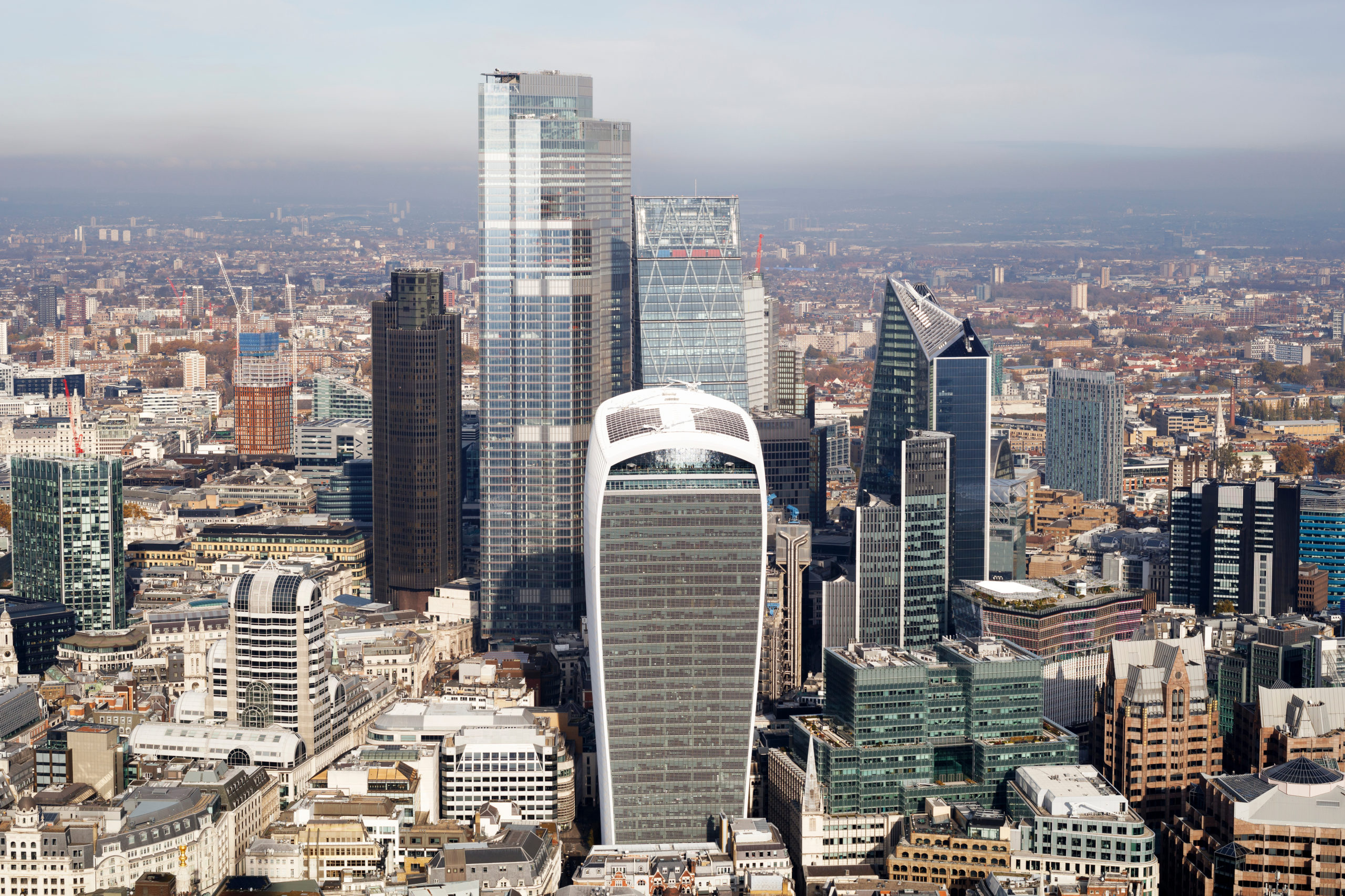 Rosie Read joins Timera as a Director