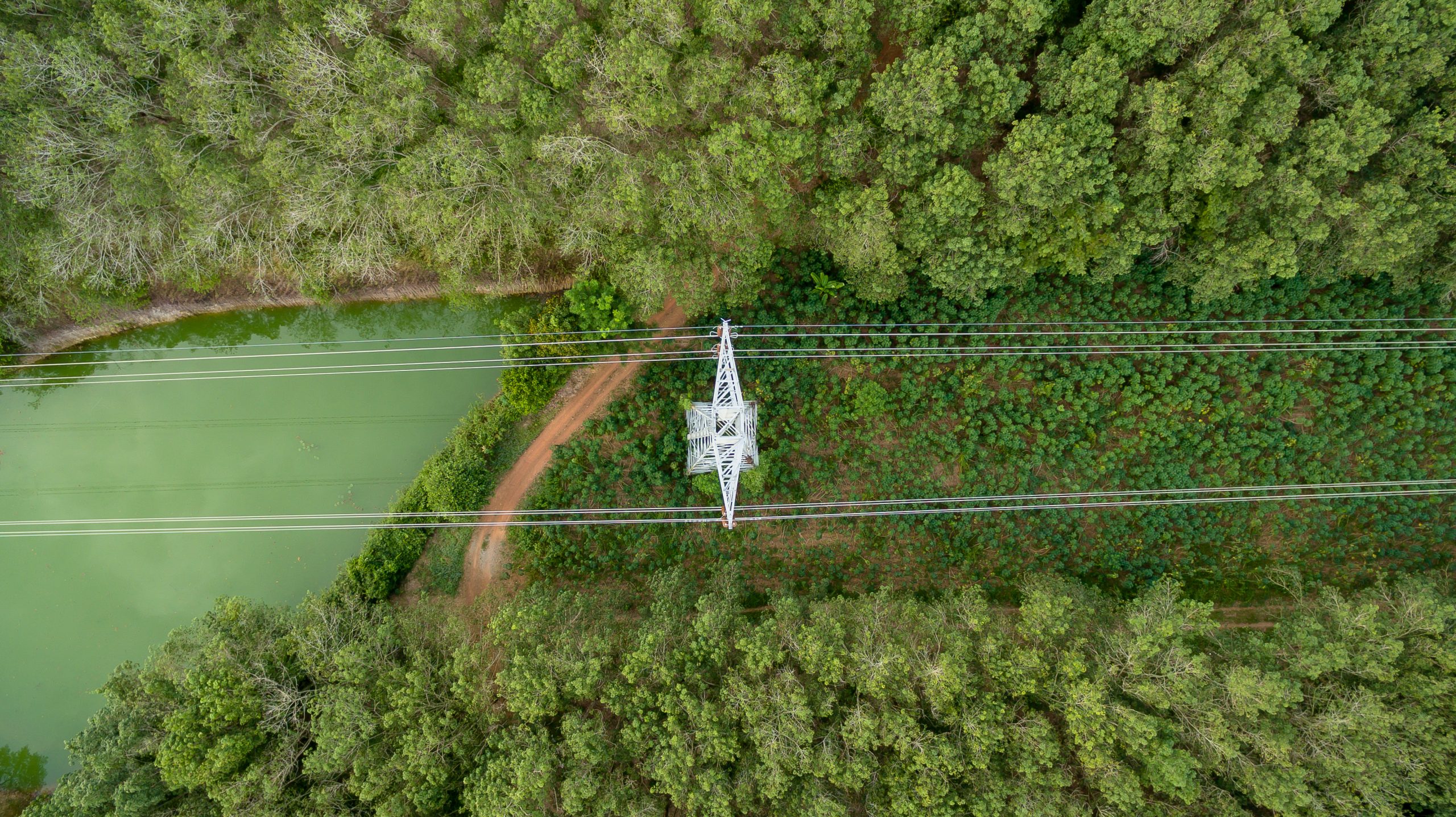 5 energy surprises for 2021