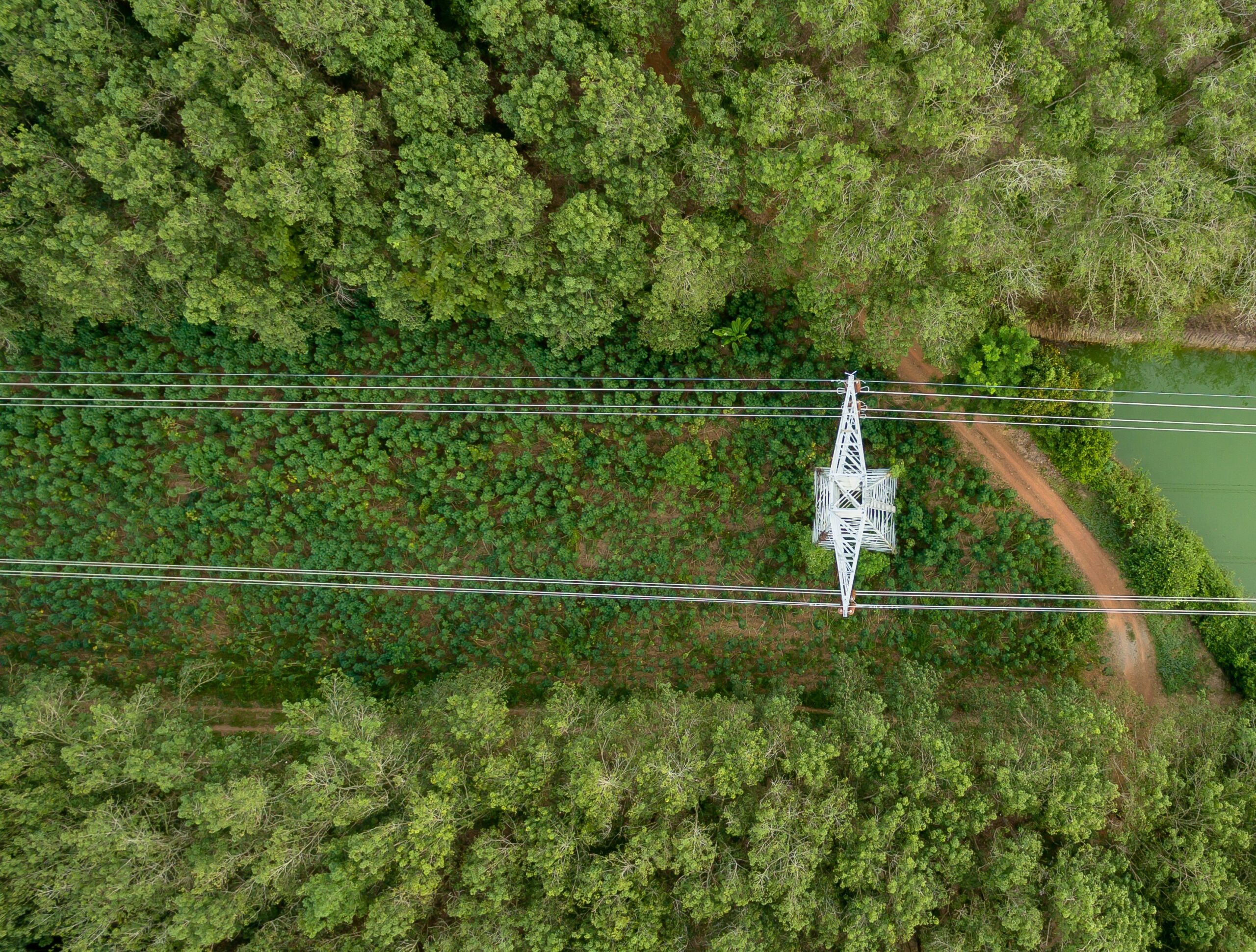 ‘Batteries beyond ancillaries’: meet the Timera team